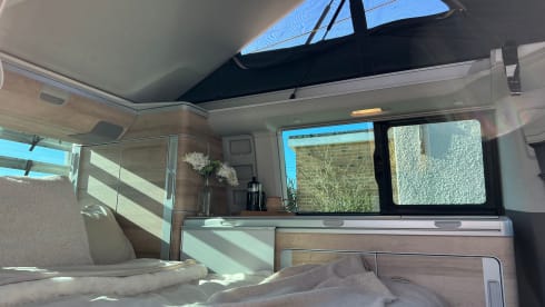 Florence – 2021 T6.1 California Coast