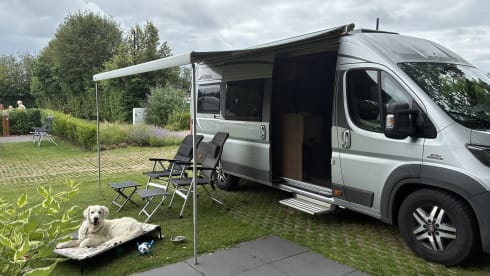 Buckies Travel House – Autobus Fiat a 2 posti dal 2026