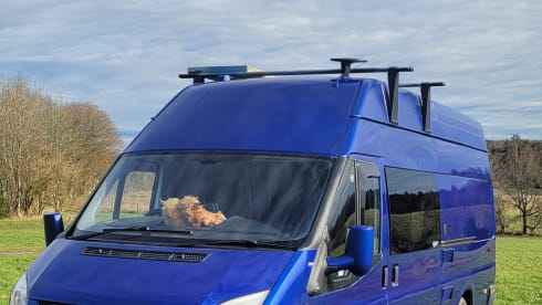 The Wee Cow  – 4 berth Ford Transit 