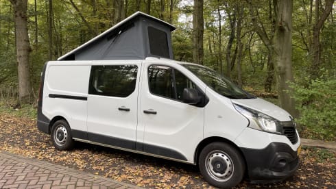 Ollie – 2p Renault bus from 2015