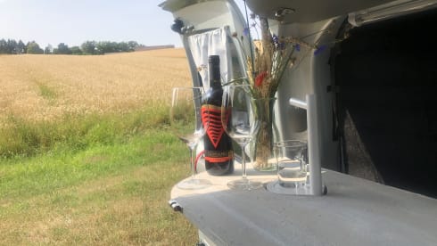 Willi – Vermiete Renault Kangoo Minicamper Eigenumbau