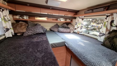 Birdy – Geweldige camper met 4 vaste bedden voor familie of events - XL garage