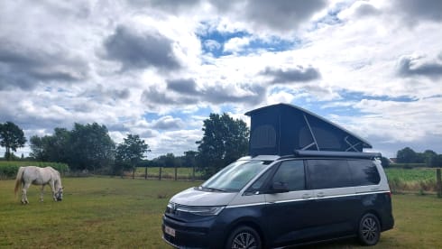 Wanderlust – 4p Volkswagen bus from 2025