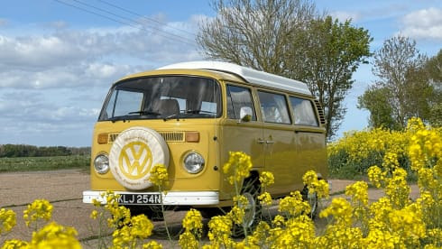  Buttercup – Classic VW T2 Campervan