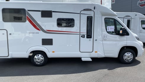 Stef – Magnificent discovery