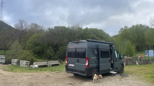 2p Fiat bus from 2023