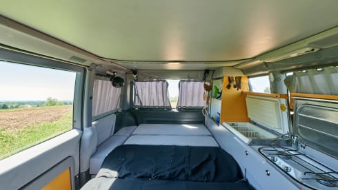 Ale – Mercedes Westfalia Vito Marco polo