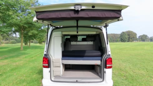 Buzz – VW California Comfort Line (T5)