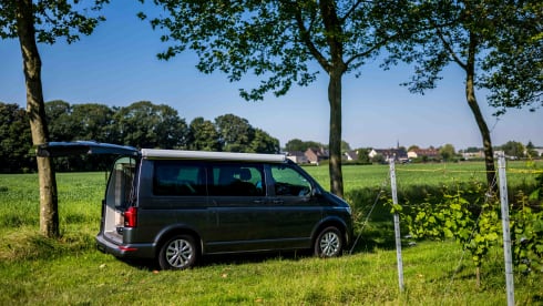 VW California 6.1 Ocean (2022) - 4 Persons - Automatic + Bicycle rack