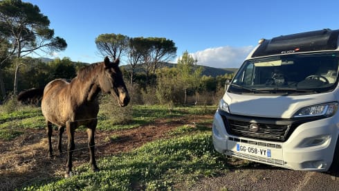 Van Elios Sky-Line Fiat Ducato 2022 komplett ausgestattet