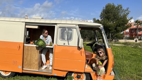 Laranja – Rent a  Blue Classics’s Combi J9