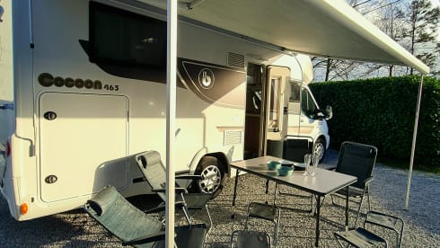 New Benimar Cocoon 463