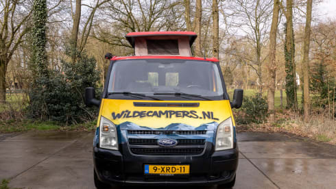 Mountain – 2p Ford bus uit 2007