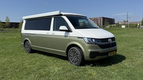 Volkswagen 6.1 Custom 2024