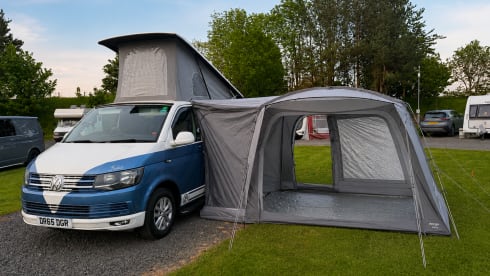 Bluebell  – Combi VW Bluebell 