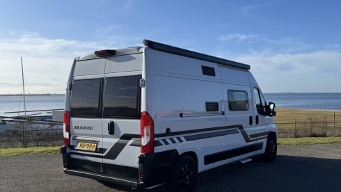 Chausson – 2p Fiat bus from 2019