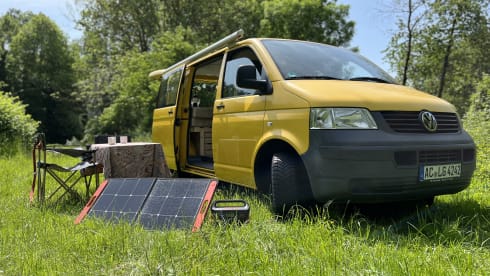 Pippin – VW T5 Postbus 