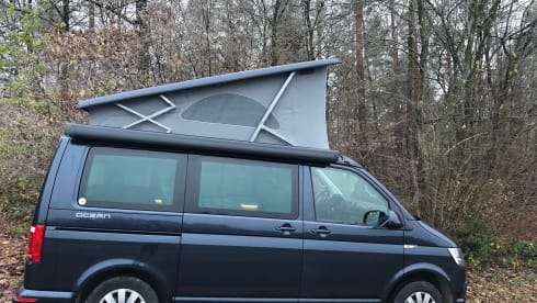 Well-equipped Volkswagen California for rent