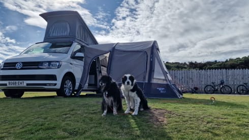 Beth – *Insured*  VW T6 Highline Campervan 2018 