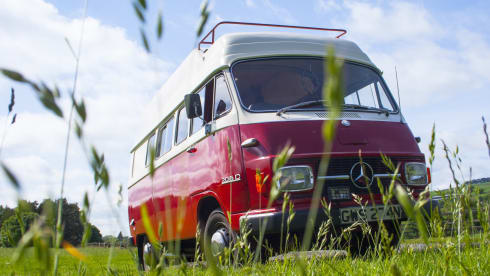 Ruby – Classic 76 Mercedes camper 