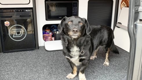 Jude – 4 Berth VW Camper