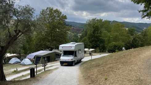 Real family camper! 4p Dethleff's alcove from 1999