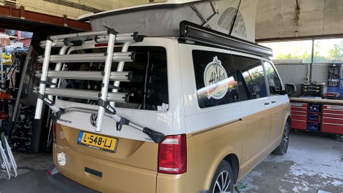 Aloha beach camper Gold – VW T6 California