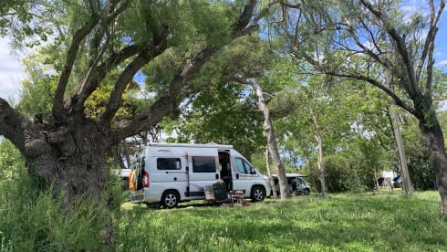 Compact Pössl 2Win factory-built bus camper (dog allowed)
