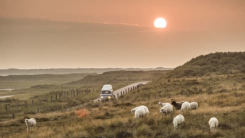 Loui – Volkswagen T2 Camper