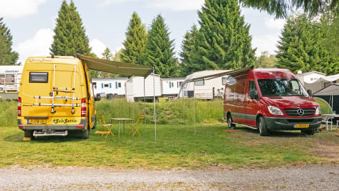 Gele Gerrie – Nothing is too crazy in this luxurious cat! Underfloor heating, coffee or a glass of wine?