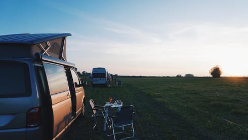 the.VANhoutte – 4p Volkswagen bus from 2019