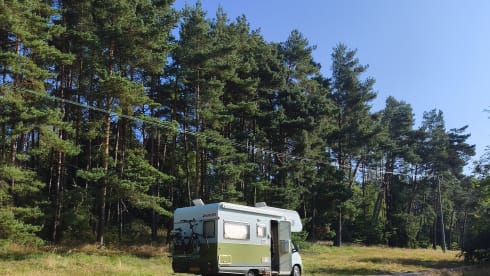 Cees – Alkoof Camper (1997) - km vrij - huisdieren toegestaan