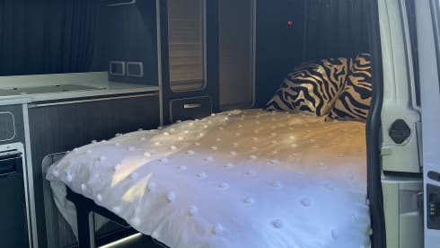Vin Diesel – 4 berth VW Campervan 