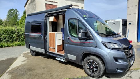 Living Stone 2 – LAIKA Ecovip 300