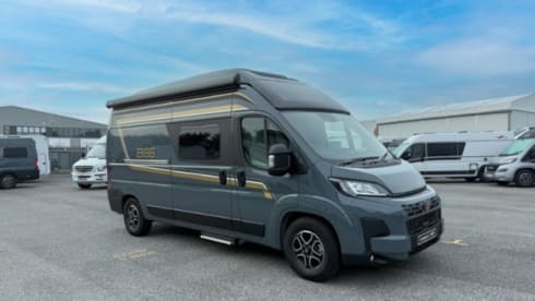 4 berth Bürstner bus from 2026
