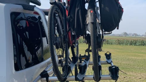 Alegria – 4p Volkswagen campervan from 2018