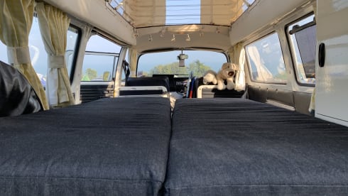 Daffy – Classic VW Type 2 Campervan