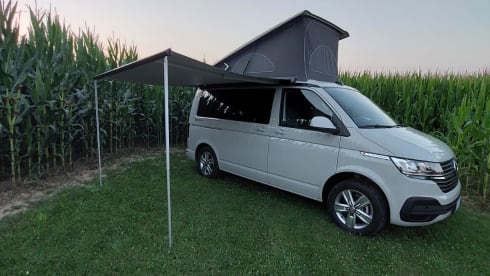 Adventure_van_rent – VW California T6.1 Beach