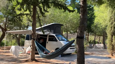 Calì  – Salento in a T4 California Coach van