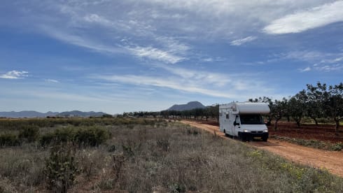 Miss Honey –  The most stylish family camper is looking for warm adventurers!