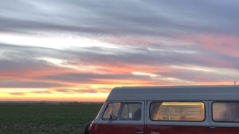 Roses – Vintage Devon 4 berth Volkswagen Camper 1981 - Relaxing Camping Classic 