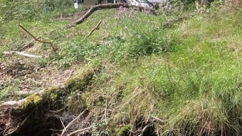 Ti lamp Ti lamp  – Jackies Van