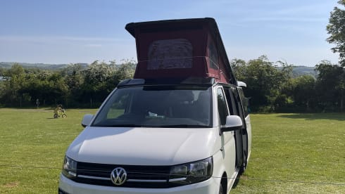 Bob  – Beautiful 4 berth Volkswagen camper van 2016 (2 adults & 2 children)