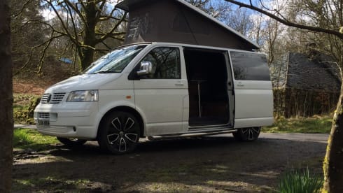 Bert – Noleggio camper VW T5 3/4 cuccette