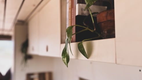 Opkoers – Discover your course together in nature