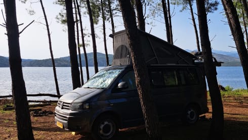 Volkswagen California T5 automatic 4P