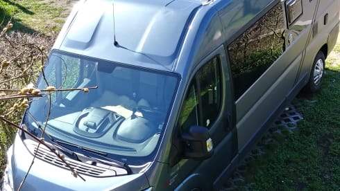 ' A quarter dollar ' – Campervan Fiat Ducato