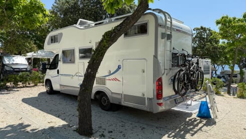 Corallino – YOUR SUPER COMFORTABLE JOURNEY