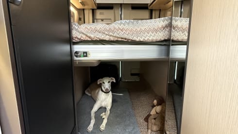 Bus Fiat 2P à partir de 2026