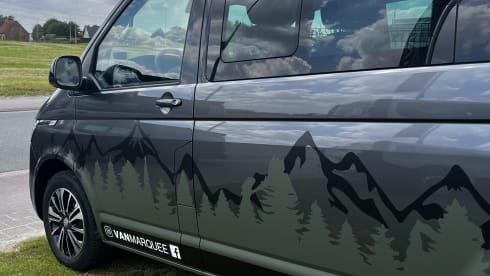 CALI Grey – Volkswagen California OCEAN Green&White